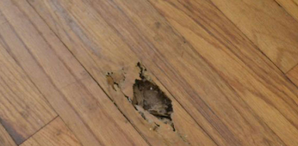 Cách khắc phục sàn nhựa bị mốc